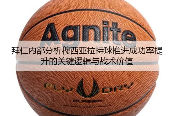 img_1782295096058_987_1_323.jpg